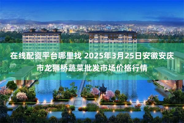 在线配资平台哪里找 2025年3月25日安徽安庆市龙狮桥蔬菜批发市场价格行情