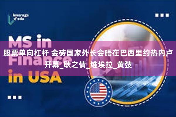 股票单向杠杆 金砖国家外长会晤在巴西里约热内卢开幕_耿之倩_维埃拉_黄弢