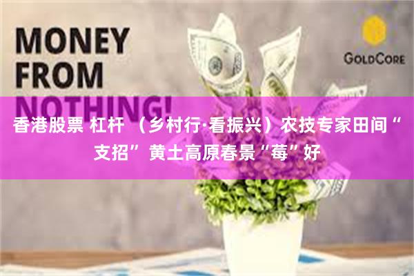 香港股票 杠杆 （乡村行·看振兴）农技专家田间“支招” 黄土高原春景“莓”好