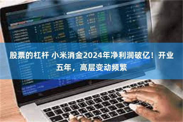 股票的杠杆 小米消金2024年净利润破亿！开业五年，高层变动频繁