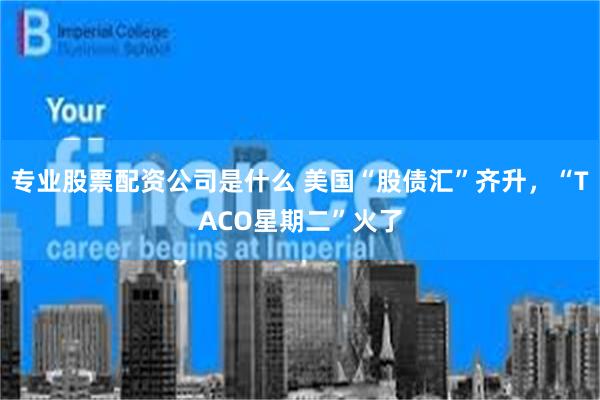 专业股票配资公司是什么 美国“股债汇”齐升，“TACO星期二”火了