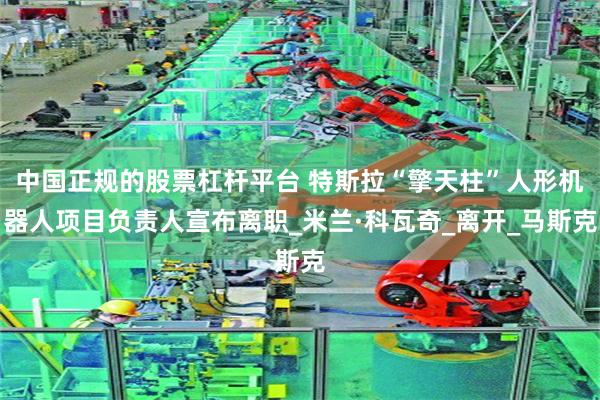 中国正规的股票杠杆平台 特斯拉“擎天柱”人形机器人项目负责人宣布离职_米兰·科瓦奇_离开_马斯克