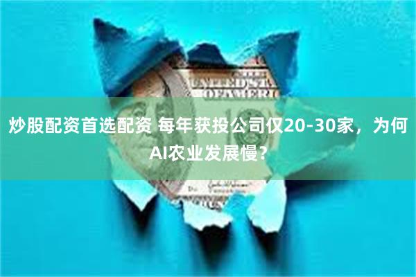 炒股配资首选配资 每年获投公司仅20-30家，为何AI农业发展慢？