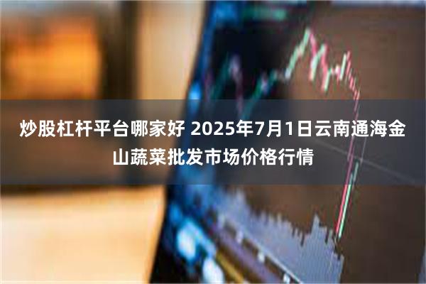 炒股杠杆平台哪家好 2025年7月1日云南通海金山蔬菜批发市场价格行情